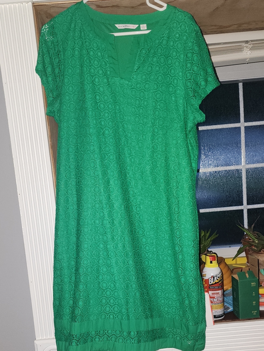 Isaac Mizrahi Green Lace Tunic Dress